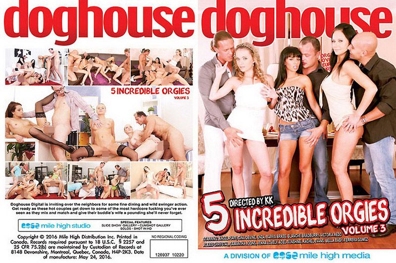  5 Incredible Orgies Vol. 3