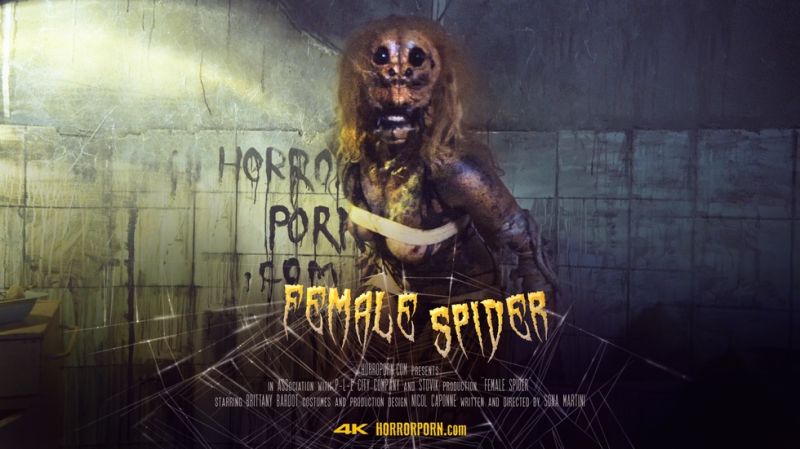  Female spider