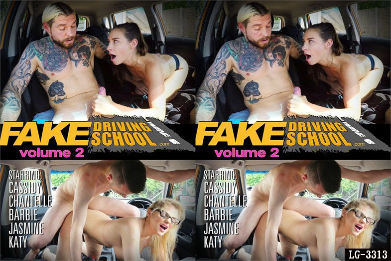  Fake Driving School Volume 2